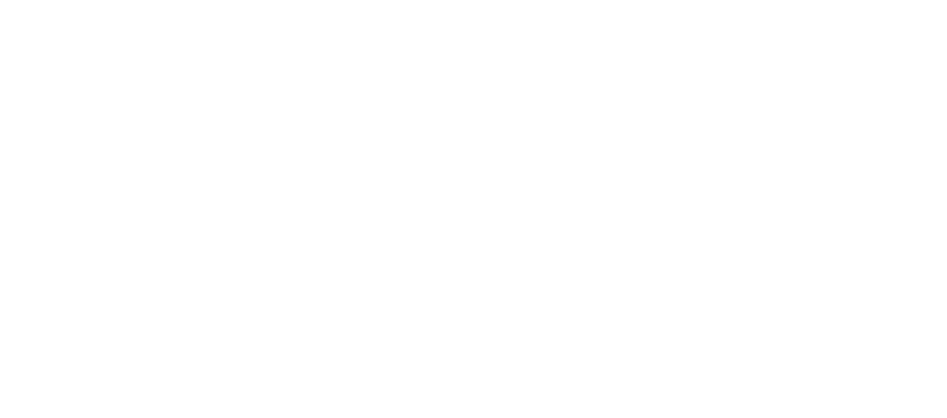 V&S Services Logo